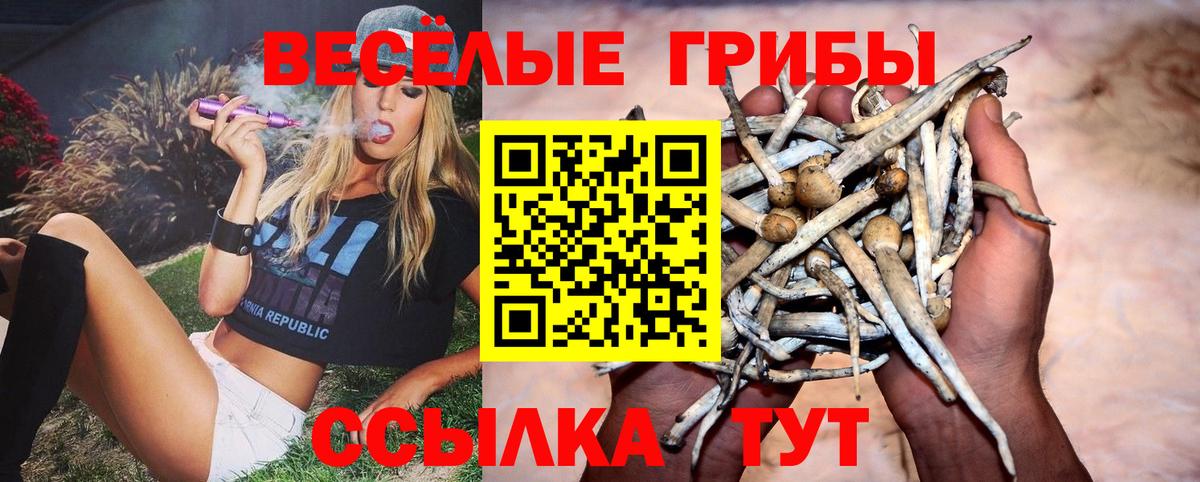 Псилоцибиновые грибы Psilocybine cubensis Миасс